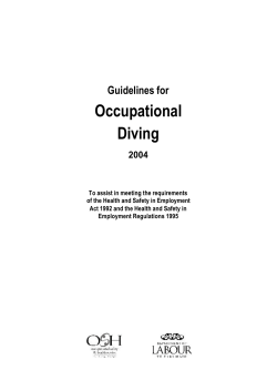 Guidelines for Occupational Diving 2004