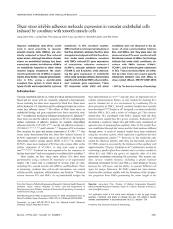 Shear stress inhibits adhesion molecule expression