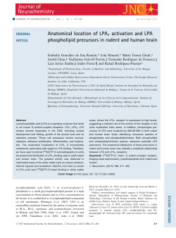 Anatomical location of LPA1 activation and LPA phospholipid