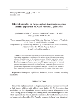 Effect of phenolics on the pea aphid, Acyrthosiphon pisum (Harris