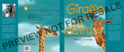 the PDF preview