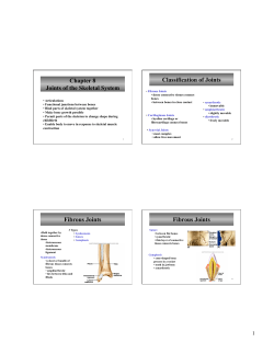 Chapter 8 Joints of the Skeletal System Classification