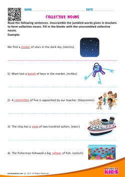 ColleCtive nouns