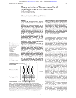 Characterisation of Eubacterium cell wall: peptidoglycan structure