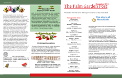The Palm Garden Post - Amazon Web Services