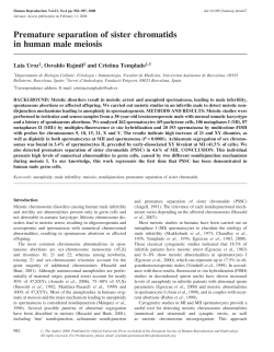 Premature separation of sister chromatids in human male meiosis