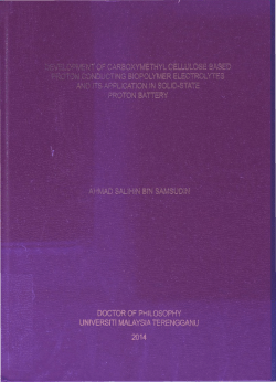 tesis bpd TP 248.65 .P62 A3 2014 Abstract