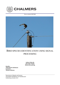 bird species identification using signal processing