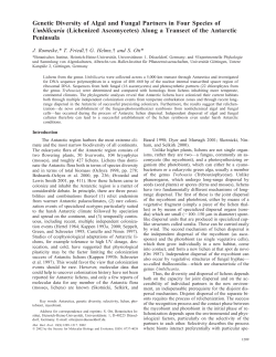Genetic Diversity of Algal and Fungal Partners in Four Species of
