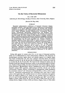 On the Unity of Bacterial Ribosomes