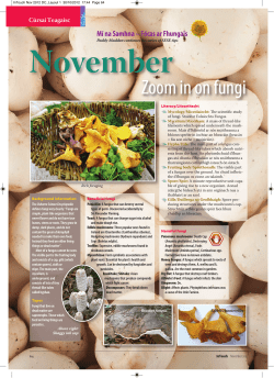 Zoom in on Fungi - School Earth Education