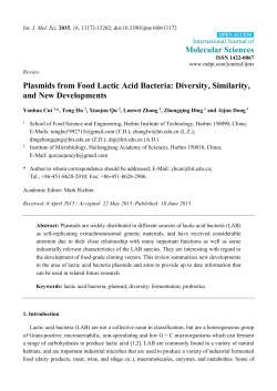 Plasmids from Food Lactic Acid Bacteria: Diversity, Similarity