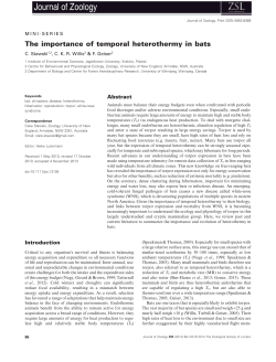The importance of temporal heterothermy in bats