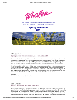 Spring edition - Whalen Restoration Services Inc.