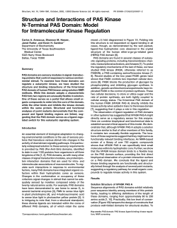 Structure and Interactions of PAS Kinase N-Terminal