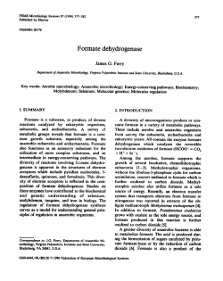 Formate dehydrogenase