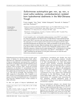 Sulfurimonas autotrophica gen. nov., sp. nov., a novel sulfur