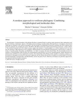 A modern approach to rotiferan phylogeny: Combining