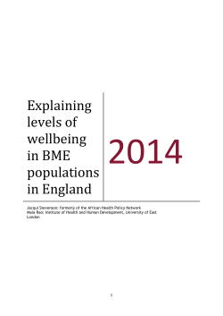 Explaining levels of wellbeing in BME populations in England