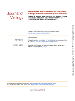 during Vesicular Stomatitis Virus Infection New mRNAs