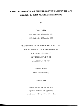 queen mandibular pheromone