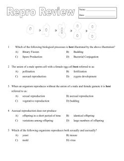 1 Which of the following biological processes is best illustrated by