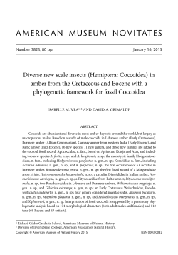 american museum novitates - AMNH Library Digital Repository