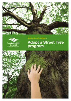 Adopt a Street Tree program