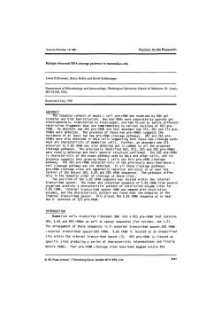 Multiple ribosomal RNA cleavage pathways in mammalian cells