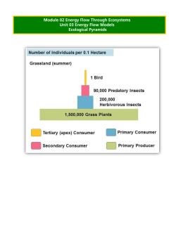Module 02 Energy Flow Through Ecosystems Unit 03