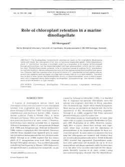 Role of chloroplast retention in a marine dinoflagellate