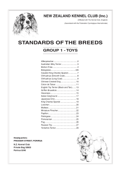 standards of the breeds