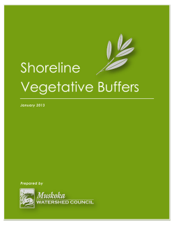 Shoreline Vegetative Buffers