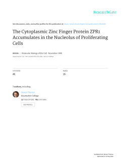 The Cytoplasmic Zinc Finger Protein ZPR1 Accumulates