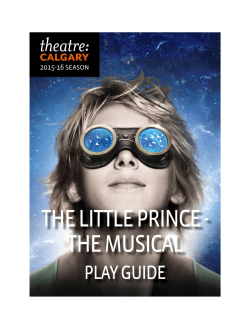 The Little Prince - Play Guide