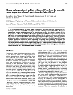 Cloning and expression of multiple cellulase cDNAs