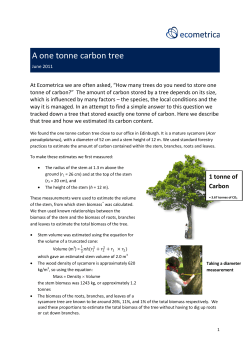 A one tonne carbon tree
