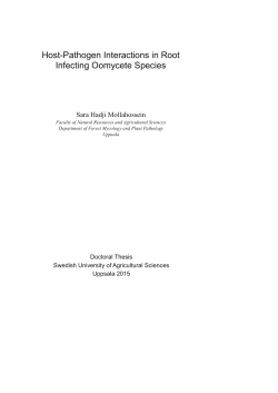 Host-Pathogen Interactions in Root Infecting Oomycete Species