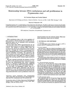 Relationship DNA methylation and cell proliferation in