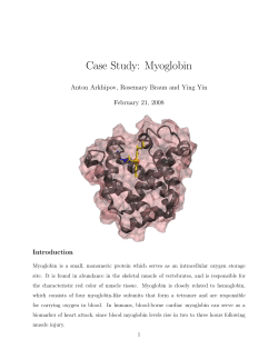Case Study: Myoglobin - Theoretical and Computational Biophysics