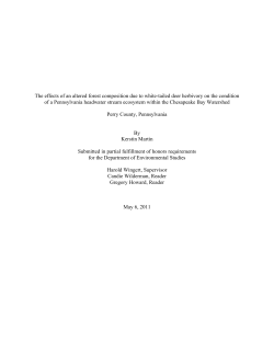 The effects of an altered forest composition due to white