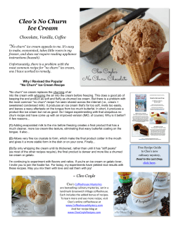 Cleo`s No Churn Ice Cream