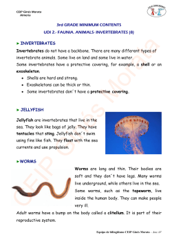 INVERTEBRATES - Junta de Andaluc&iacute;a