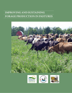 Improving and Sustaining Forage Production in Pastures