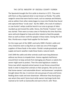 THE CATTLE INDUSTRY OF OSCEOLA COUNTY FLORIDA The