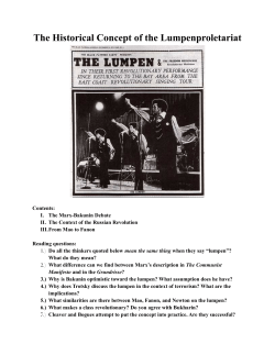 The Historical Concept of the Lumpenproletariat