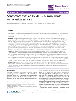 Senescence evasion by MCF-7 human breast tumor