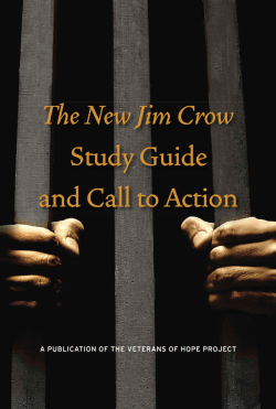 The New Jim Crow Study Guide