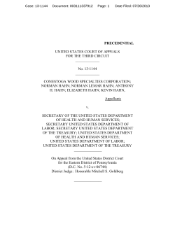 3rd Circuit panel`s decision on preliminary injunction