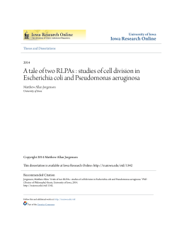 A tale of two RLPAs : studies of cell division in Escherichia coli and